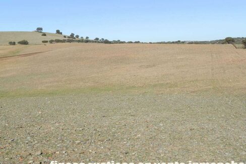 708_fincas-en-venta-016