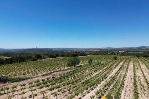 709_fincas-en-venta-11