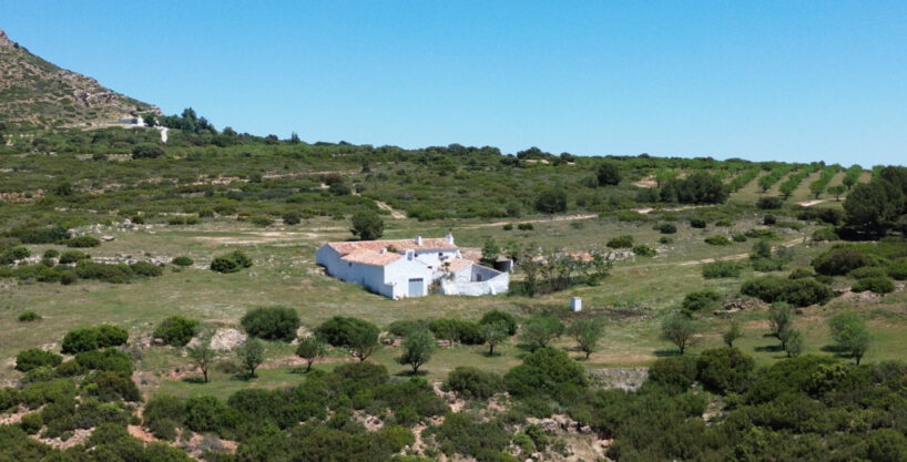 FINCA EN VENTA 544 HAS. LABOR SECANO-VIÑA REGADÍO-CAZA MAYOR EN ALBACETE