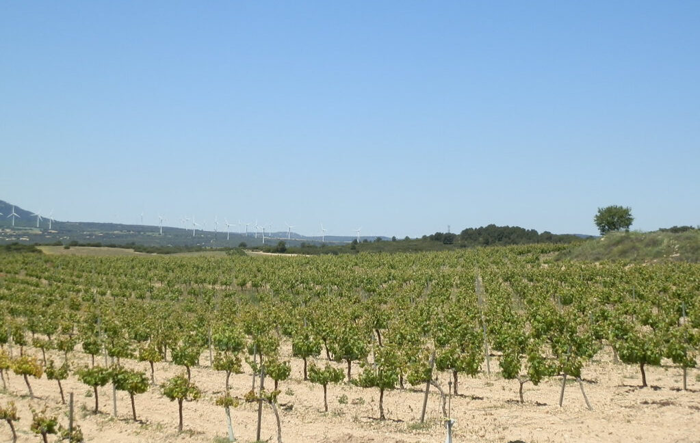709_fincas-en-venta-28