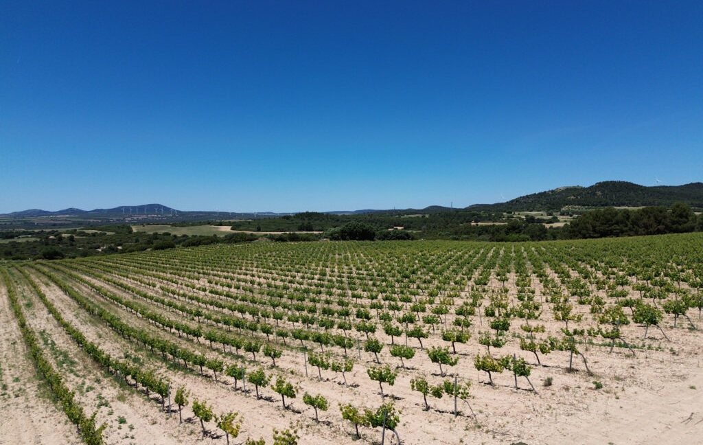 709_fincas-en-venta-9